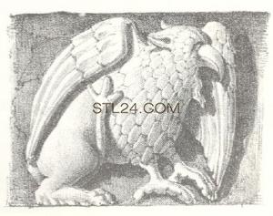 ANIMAL_0085